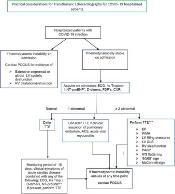 The Dual Role of Echocardiography in the Diagnosis of Acute Cardiac Complications and Treatment Monitoring for Coronavirus Disease 2019 (COVID-19)